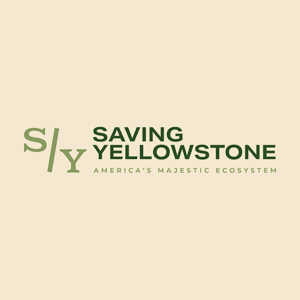 Saving-Yellowstone